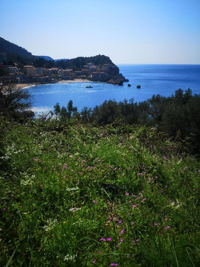 Langust - Free Parking Apartamento Ilha Ilha Sveti Stefan Exterior foto